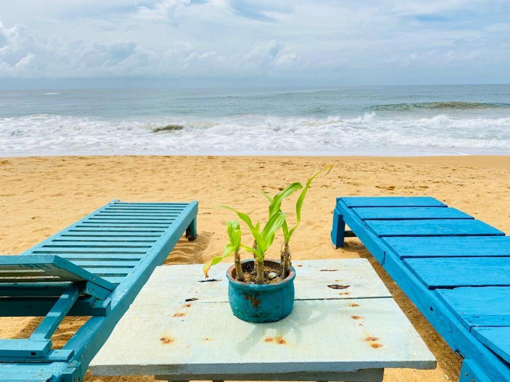 Ramya Ru Beach Home Galle Εξωτερικό φωτογραφία